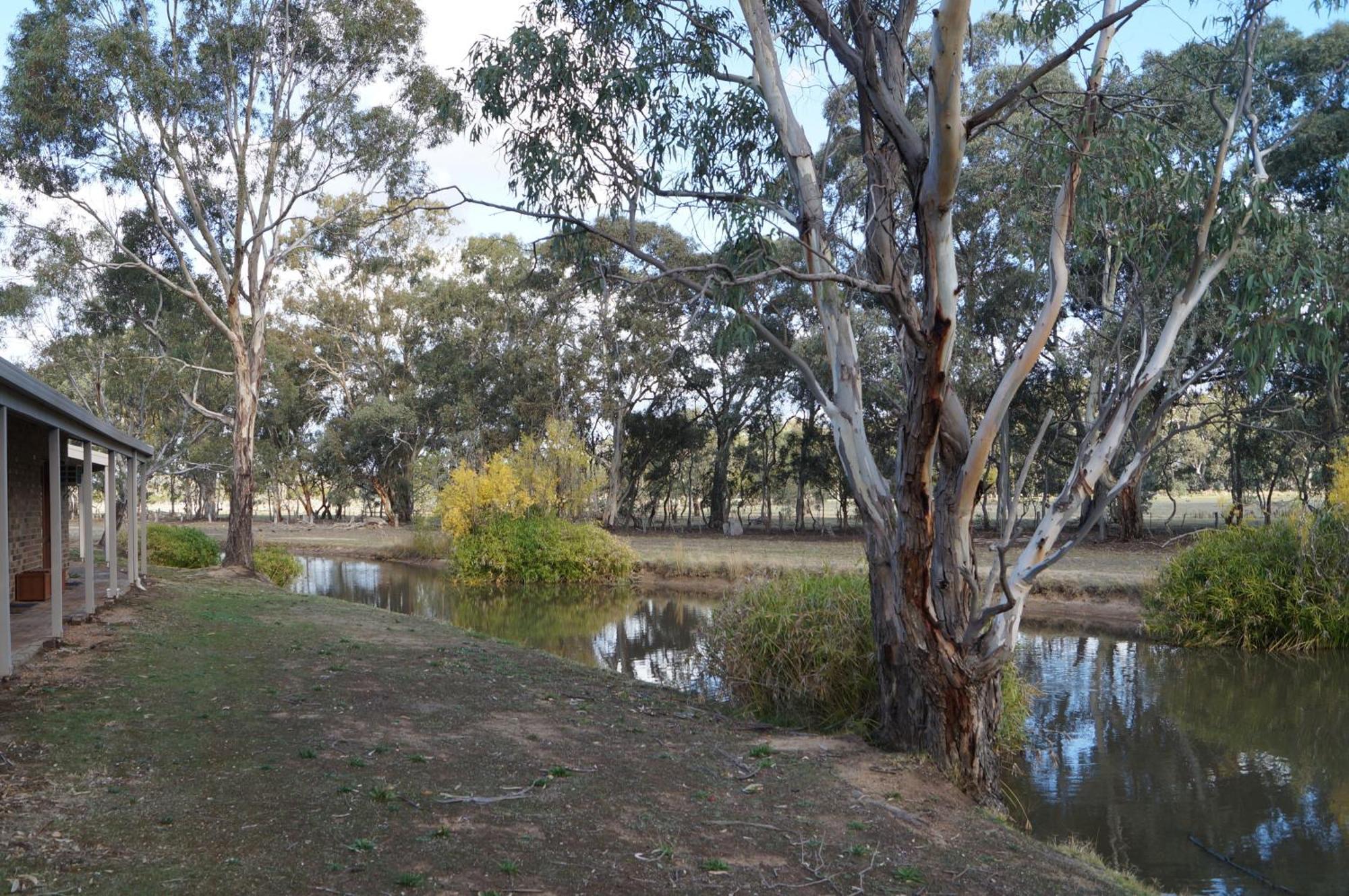 Magdala Motor Lodge & Lakeside Restaurant Stawell Room photo